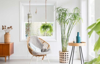 Kết quả không ngờ của việc sử dụng sắc trắng để trang trí trong ngôi nhà ống 