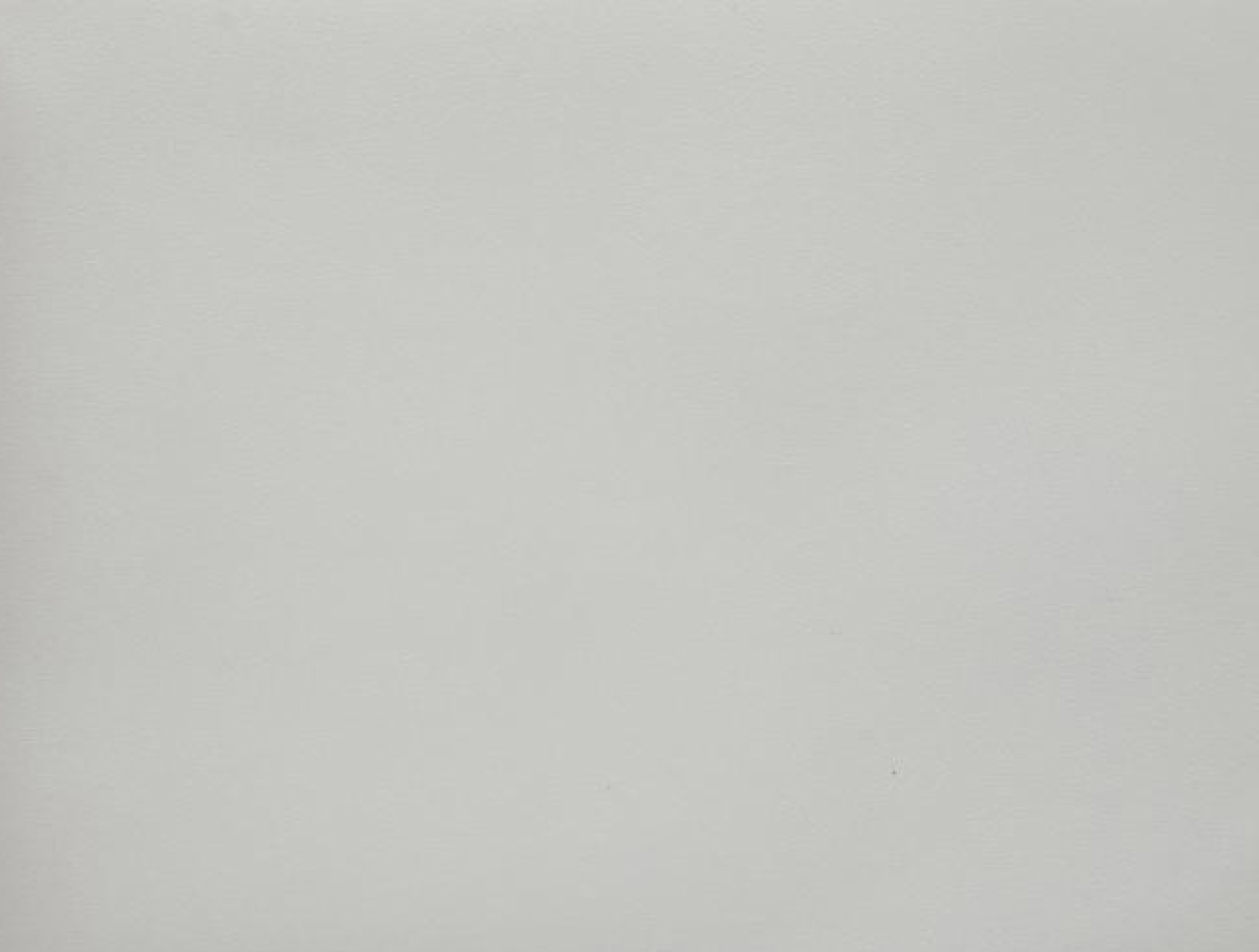 MÀU VÂN GIẤY DÁN TƯỜNG PWD-44