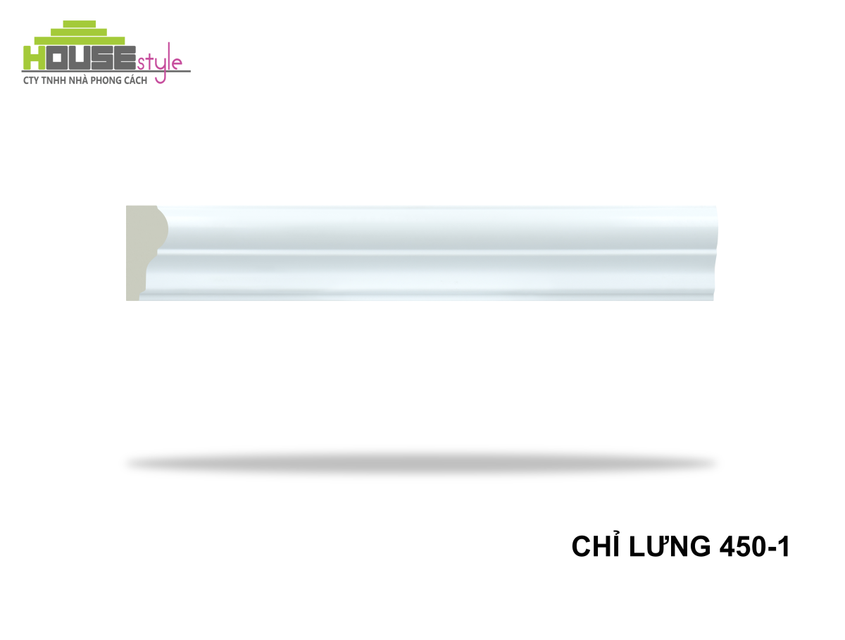 CHỈ LƯNG 450-1