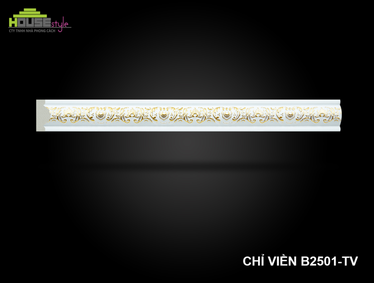 CHỈ VIỀN 2501-TV
