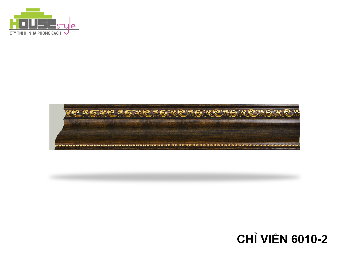 CHỈ LƯNG 6010-2