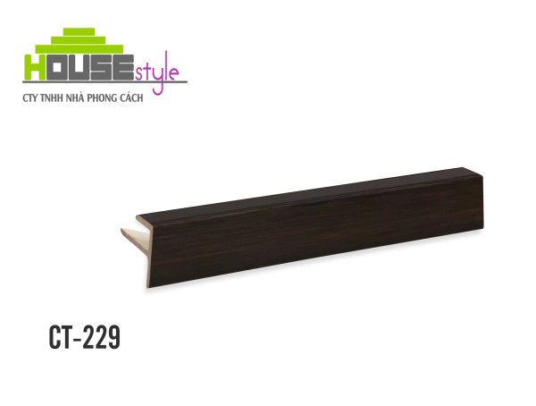 NẸP NHỰA CẦU THANG CT-229