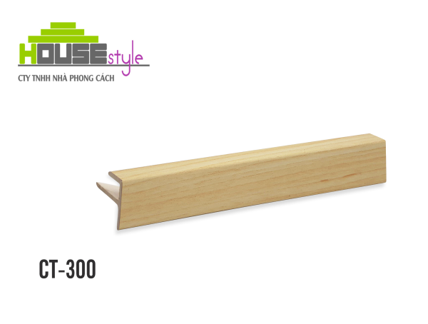 NẸP NHỰA CẦU THANG CT-300