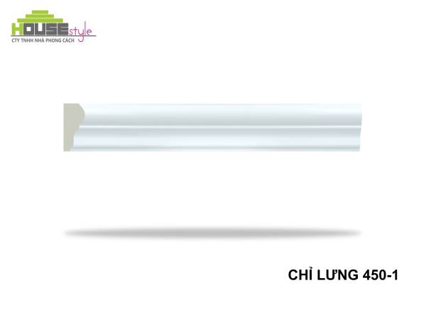 CHỈ LƯNG 450-1