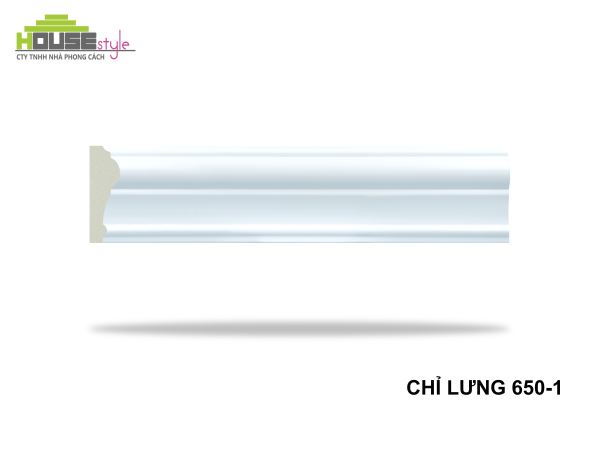 CHỈ LƯNG 650-1
