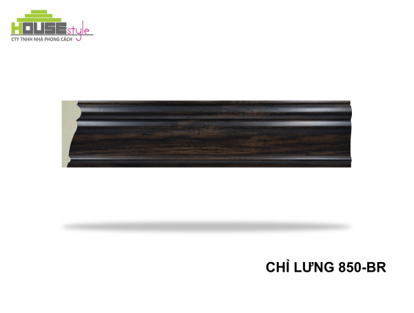 CHỈ LƯNG 850-BR