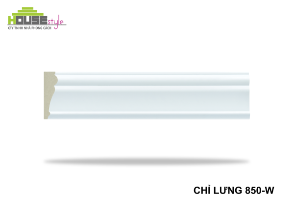 CHỈ LƯNG 850-W