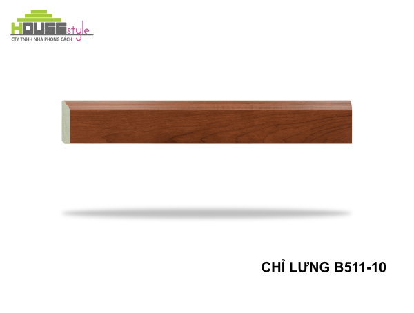 CHỈ LƯNG B511-10