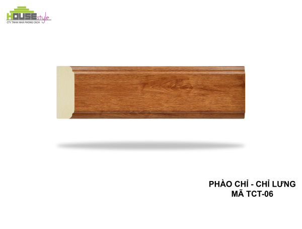 CHỈ LƯNG TCT-06