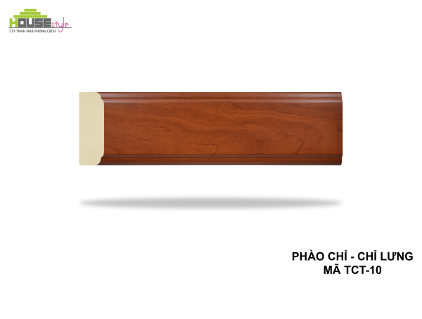 CHỈ LƯNG TCT-10