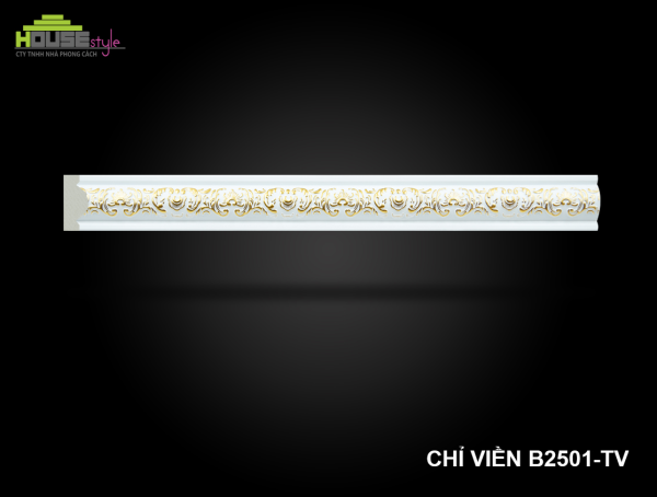 CHỈ VIỀN 2501-TV