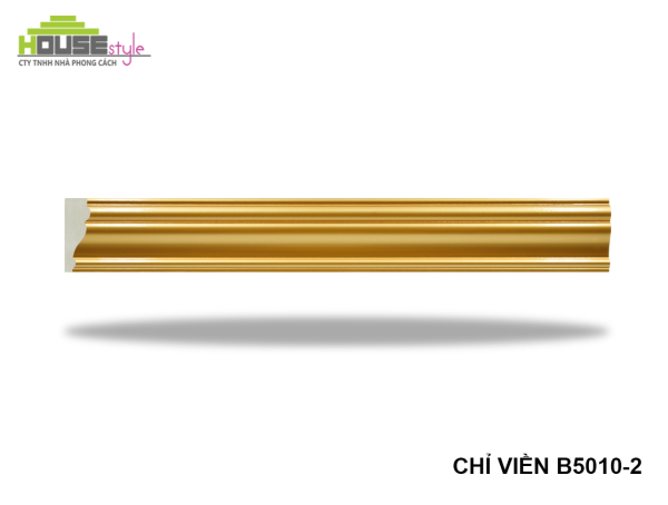 CHỈ LƯNG B5010-2