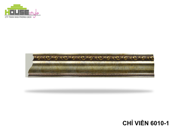CHỈ VIỀN 6010-1