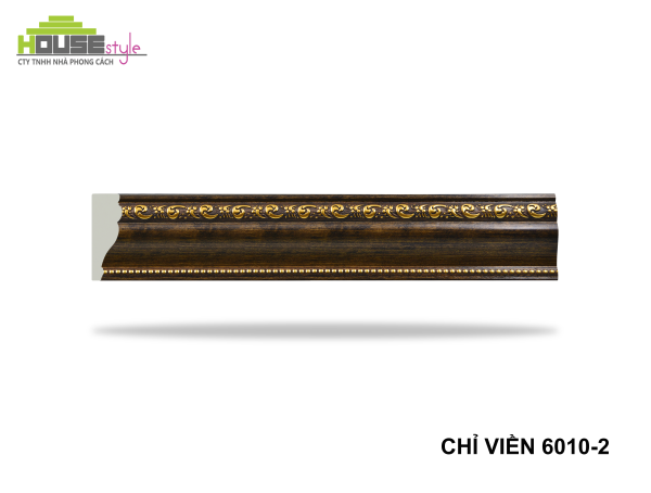 CHỈ VIỀN 6010-2