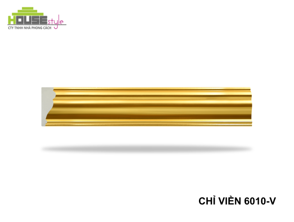 CHỈ VIỀN 6010-V