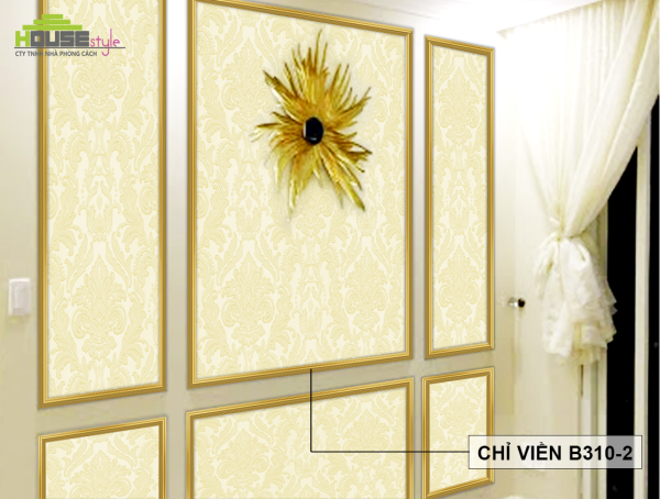 CHỈ VIỀN B310-2