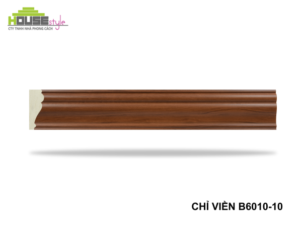 CHỈ VIỀN B6010-10