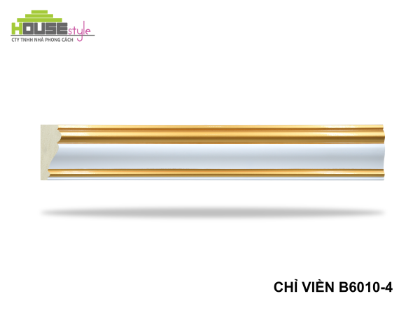 CHỈ LƯNG B6010-4